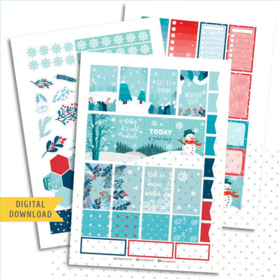 Winter Full Box Stickers. Printable Planner Stickers.