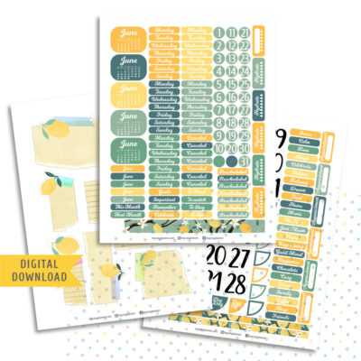 June Monthly Sticker Kit. Vintage Lemons