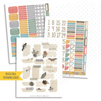 Vintage Birds Monthly Sticker Kit. Printable Planner Stickers.