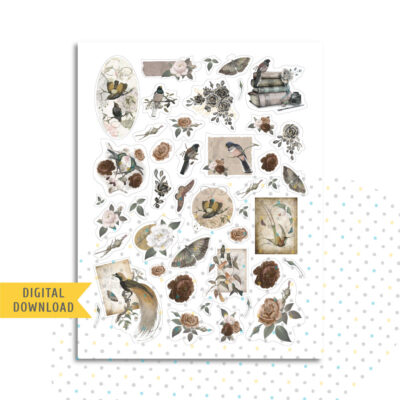 Vintage Birds Stickers. Printable Planner Stickers.
