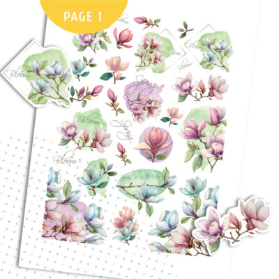 SITE-MCB-202504-04-01